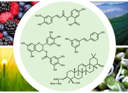 NHỮNG DƯỠNG CHẤT CHỐNG OXY HÓA NGĂN NGỪA BỆNH TẬT, CHỐNG LÃO HÓA, ĐẸP 