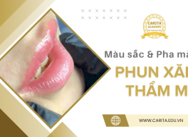 Tầm quan trọng của kiến thức về màu sắc và pha màu trong phun xăm - Carita Academy