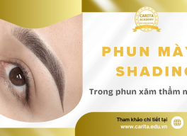 Tất tần tật thông tin thú vị xoay quanh kỹ thuật phun chân mày shading – Carita Academy